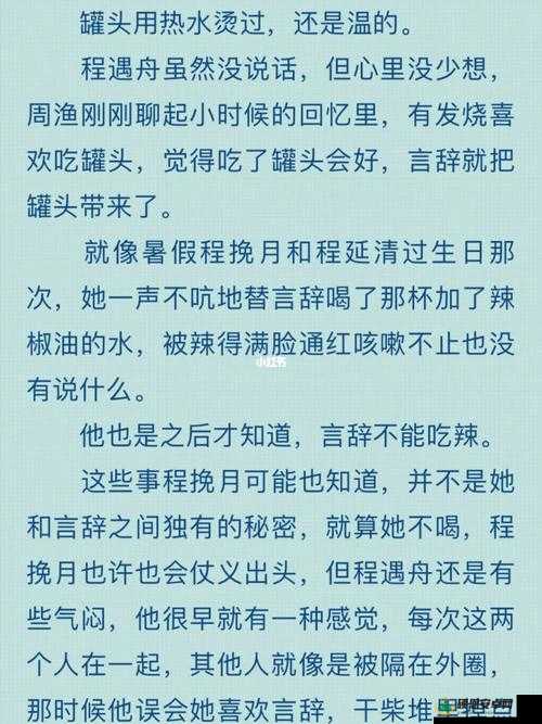 三人行必有双插头但枝笔趣阁：关于它的详细分析与探讨